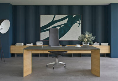 Bureau directeur assis/debout