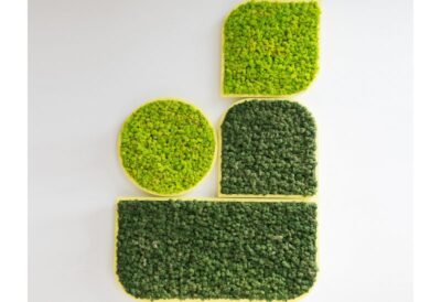 Panneau acoustique végétal