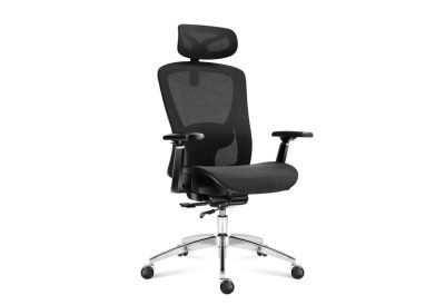 Chaise Ergonomique Mesh Respirante Réglable Bureau Professionnel