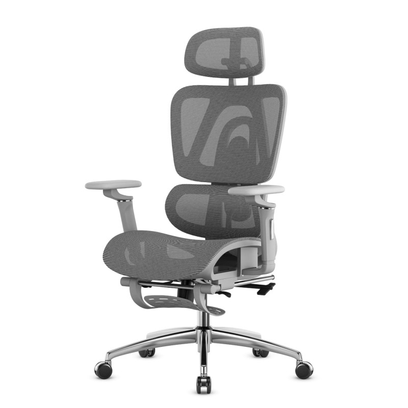 ma expert grey f
